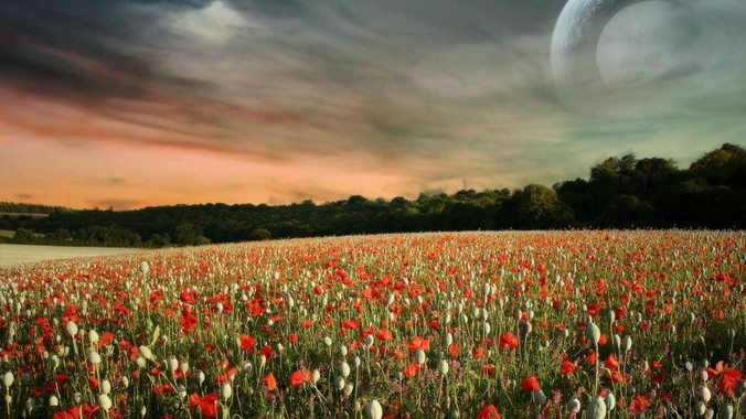 Docker 的应用场景在哪里？